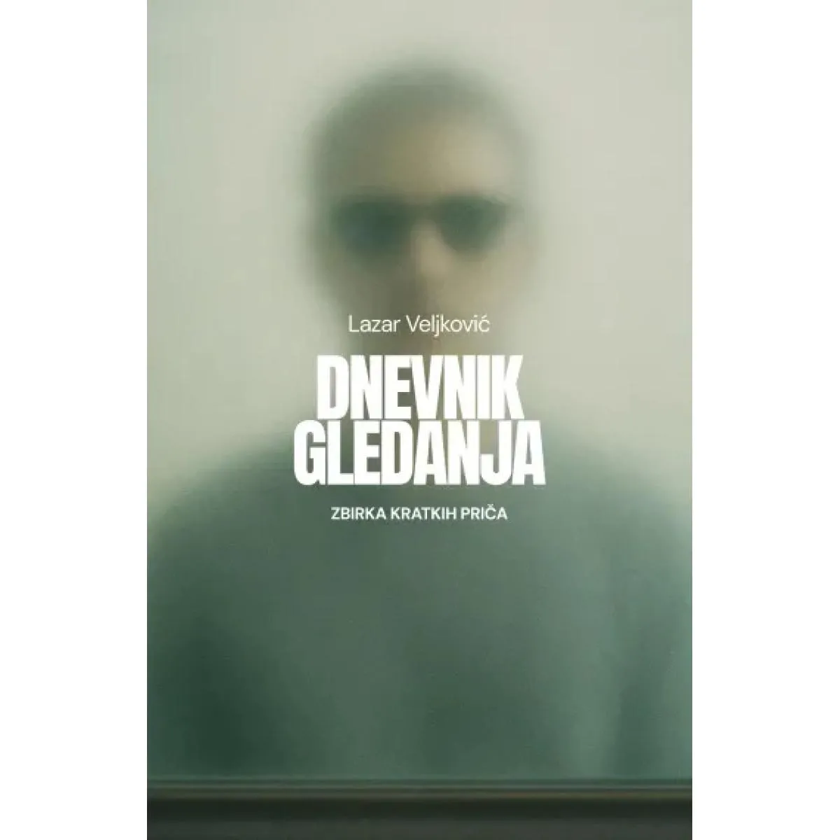 DNEVNIK GLEDANJA 