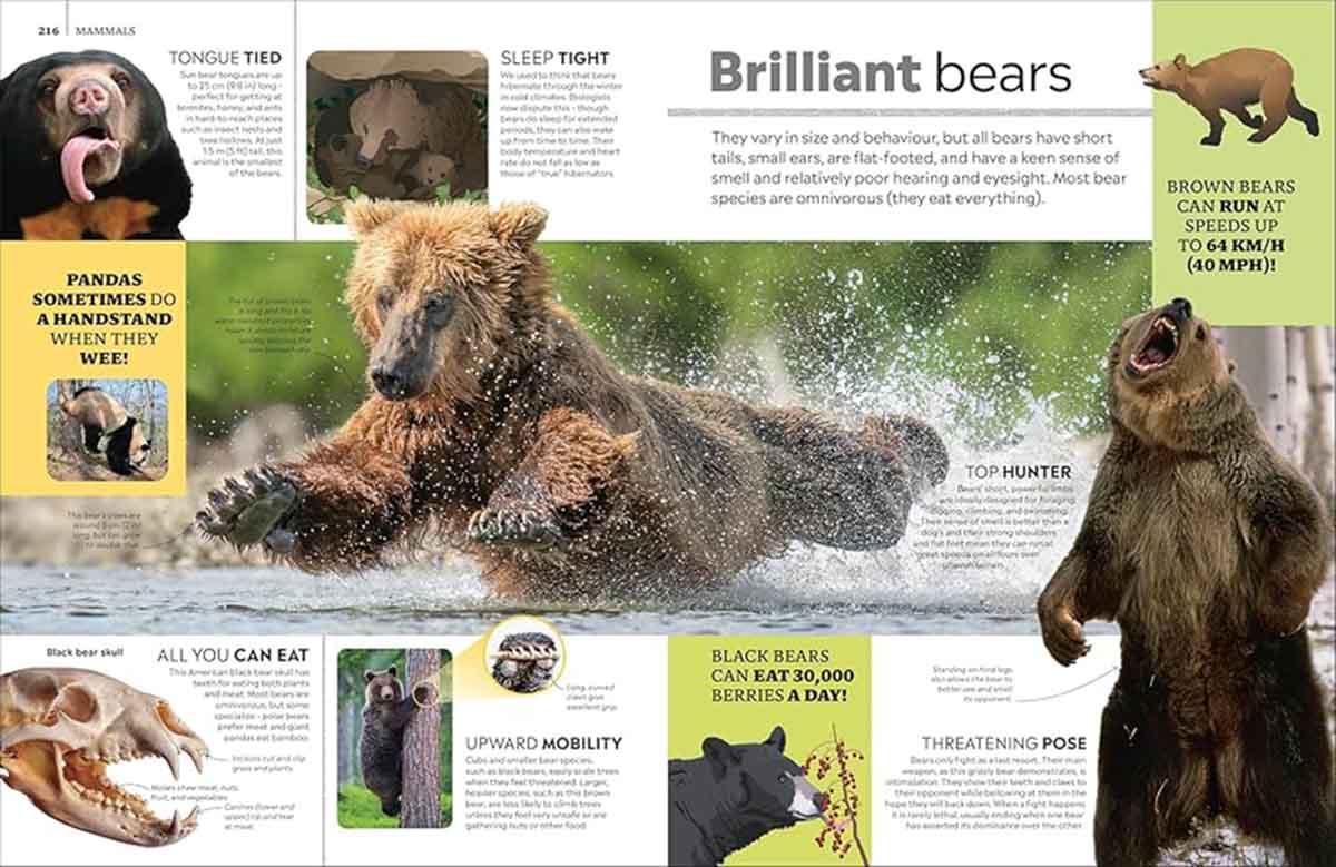 EYEWITNESS ENCYCLOPEDIA OF ANIMALS 