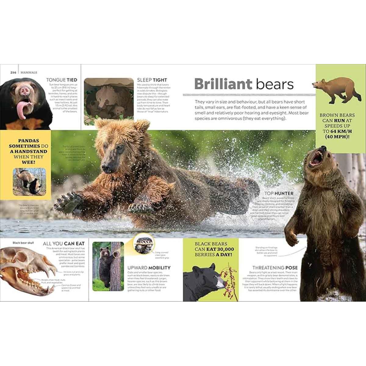 EYEWITNESS ENCYCLOPEDIA OF ANIMALS 