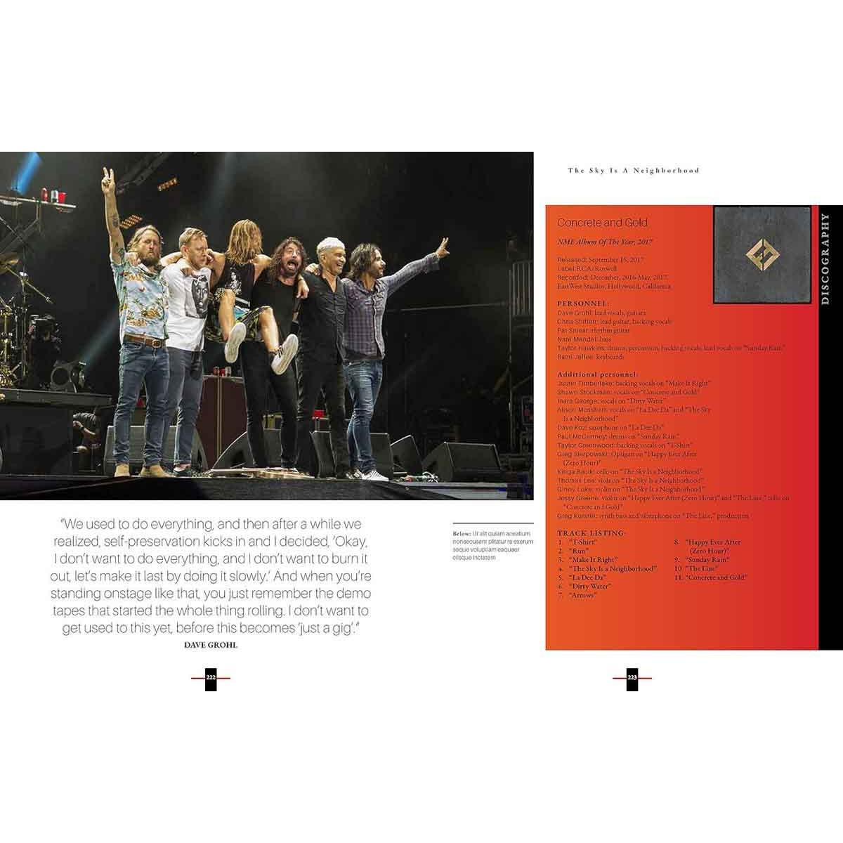 FOO FIGHTERS The Band that Dave Made 