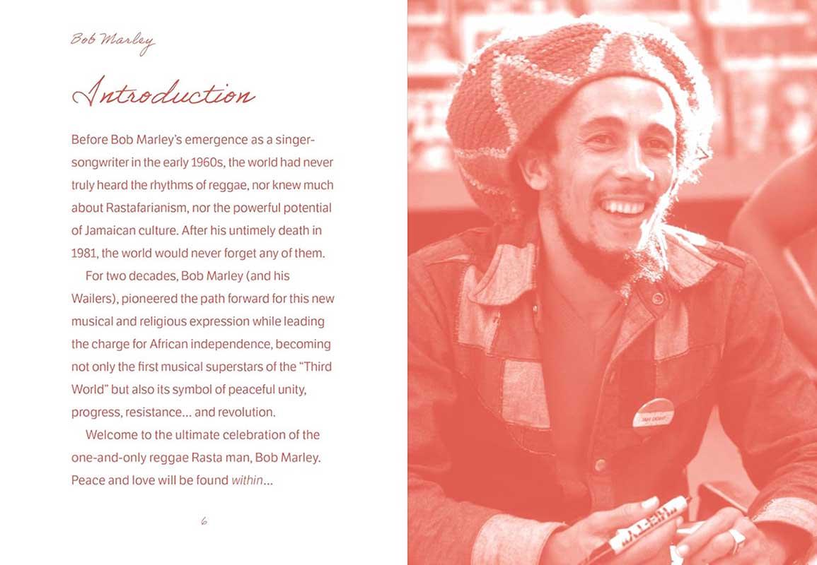 THE POCKET BOB MARLEY 