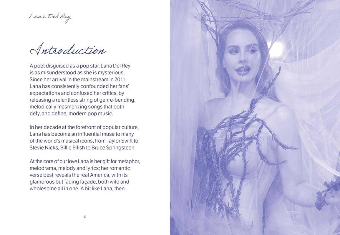 THE POCKET LANA DEL RAY 