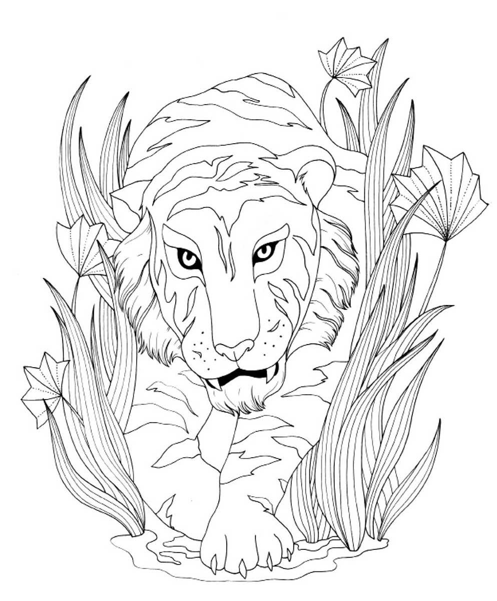 KNJIGA O DŽUNGLI - BOJANKA 