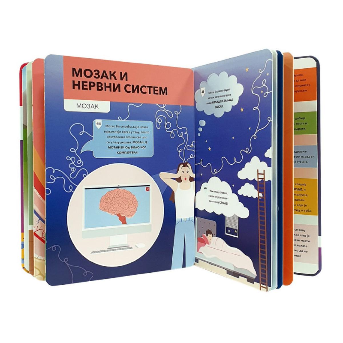 HAJDE DA PRIČAMO O… LJUDSKO TELO 