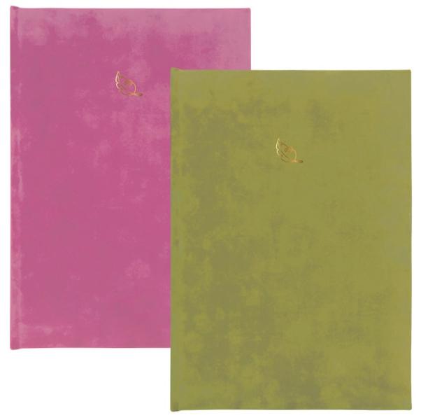 Nedatumirani planer B6 