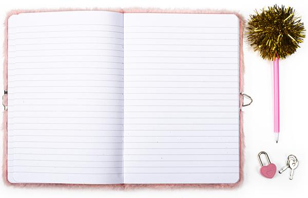 Tajni dnevnik sa ključem PANDA 