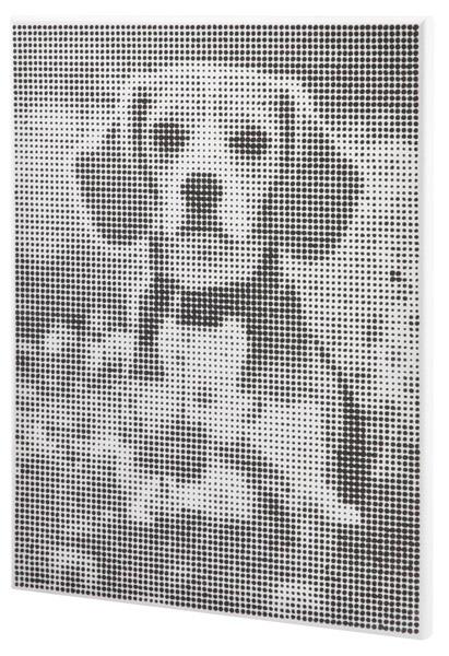 Kreativni set DOT PAINTING - PAS 40x30cm 