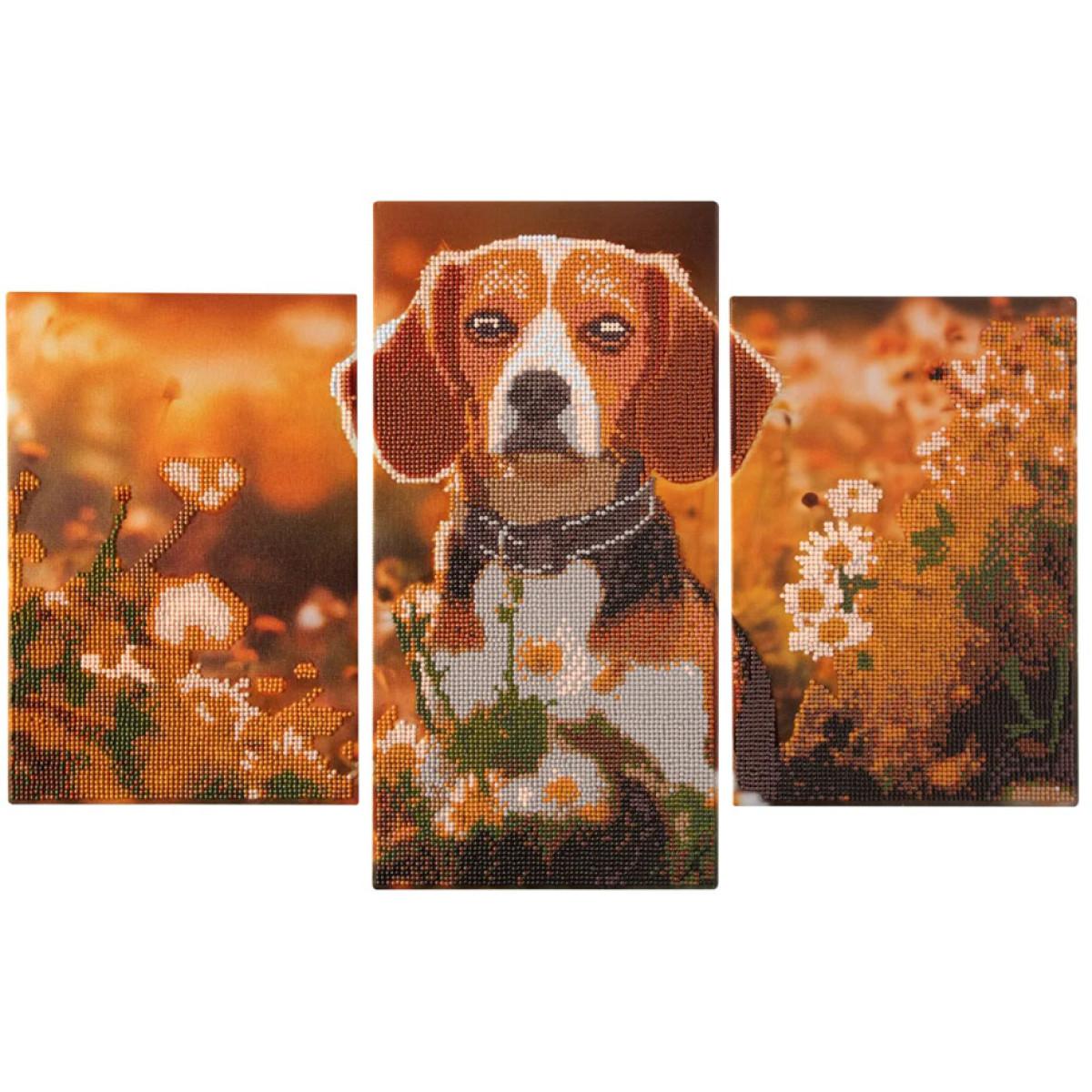 Kreativni set DIAMOND PAINTING TRIPTYCH  -PAS 