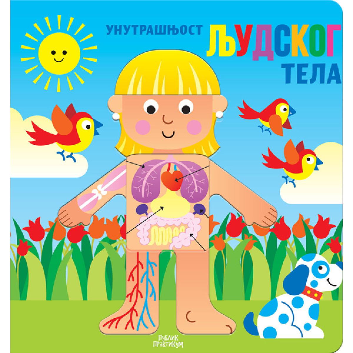 UNUTRAŠNJOST LJUDSKOG TELA 