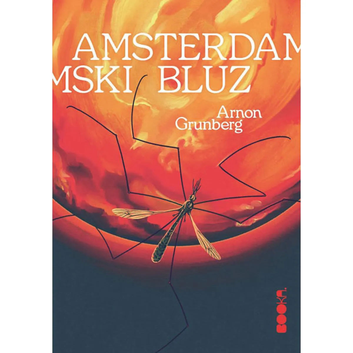 AMSTERDAMSKI BLUZ 
