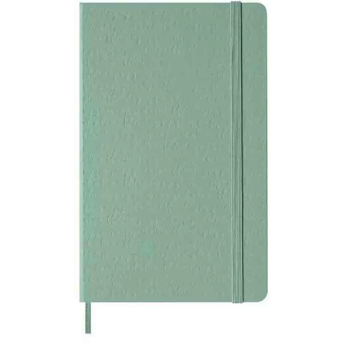 Notes MOLESKINE SAGE GREEN linije 
