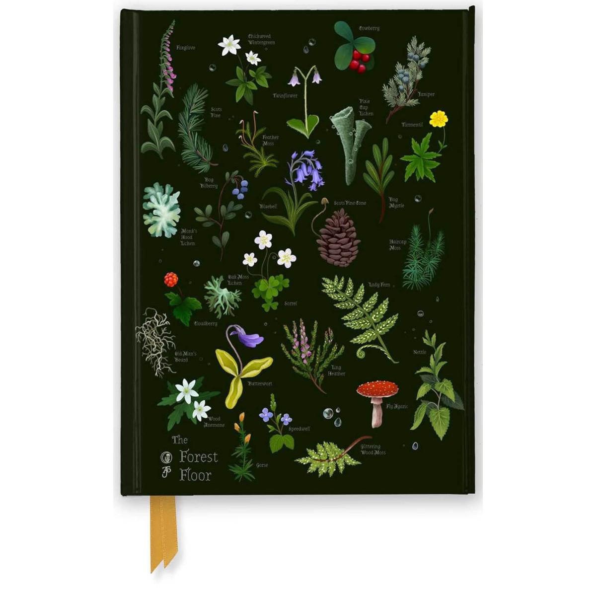 Notes ANNA STEAD: The Forest Floor 