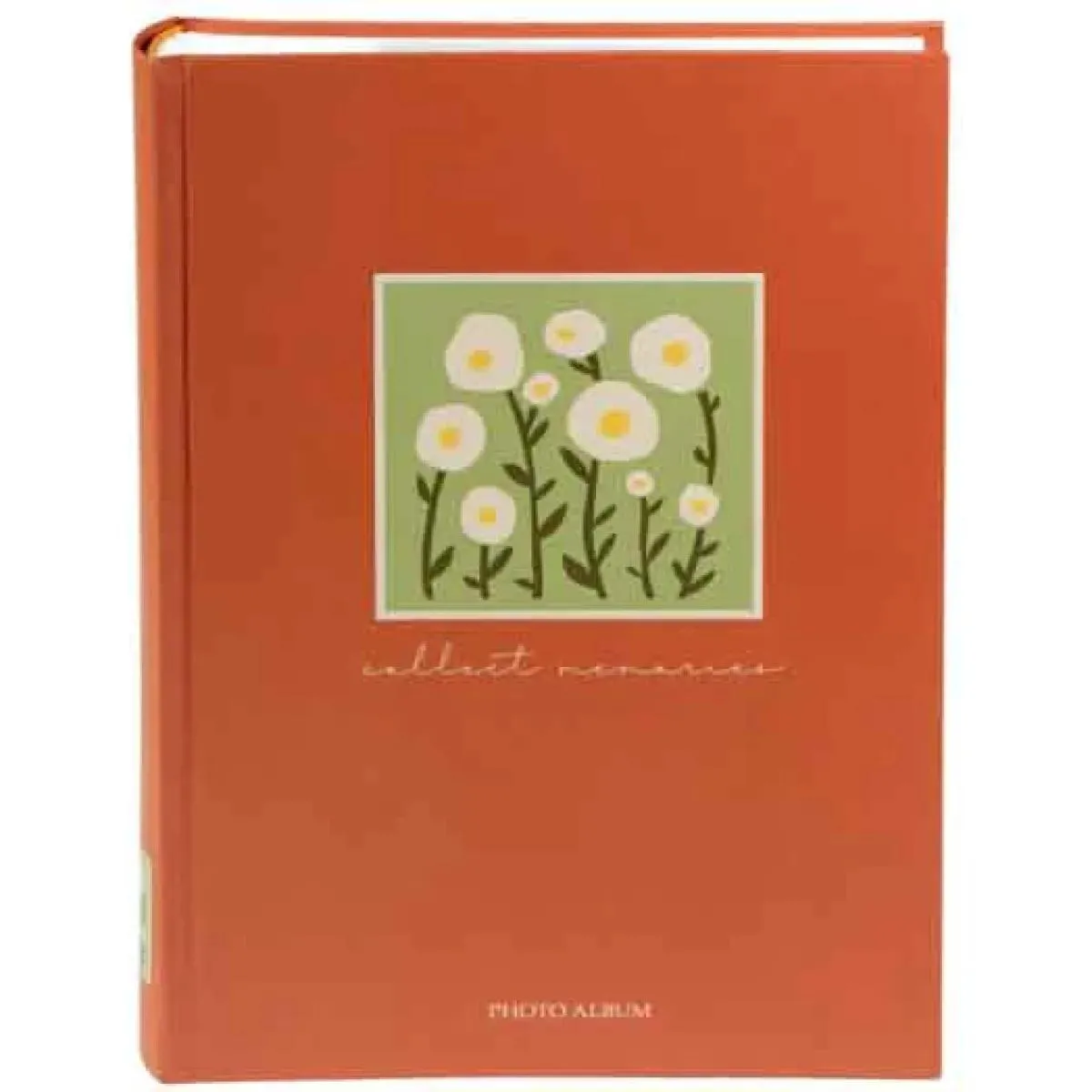 Album za fotografije 10x15/300 AURA (više vrsta) 