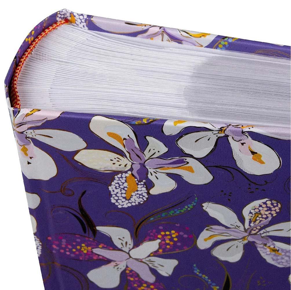 Foto album OHRIDEJE - LILA 