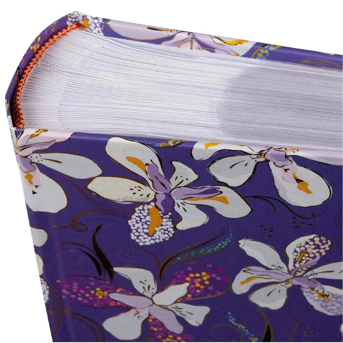 Foto album OHRIDEJE - LILA 