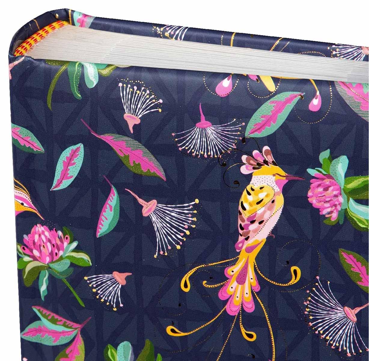 Foto album TROPSKE PTICE - 200 