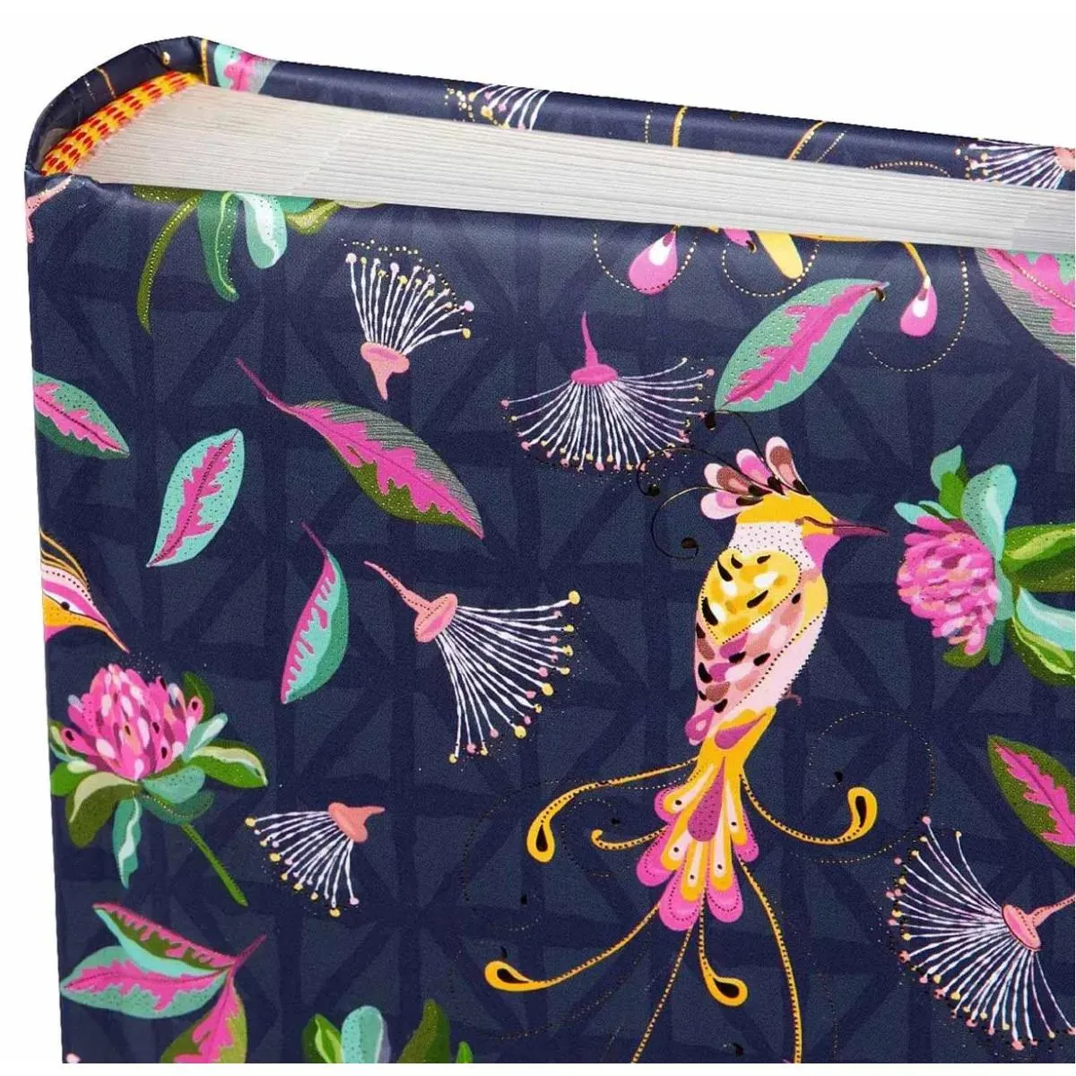 Foto album TROPSKE PTICE - 200 