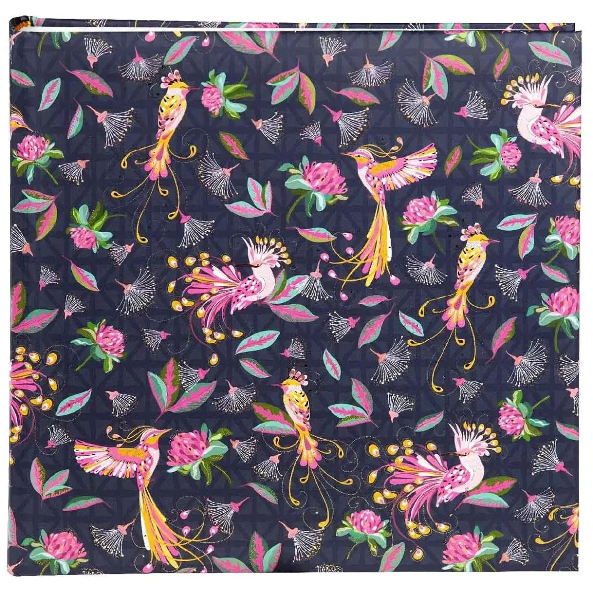 Foto album TROPSKE PTICE - 200 