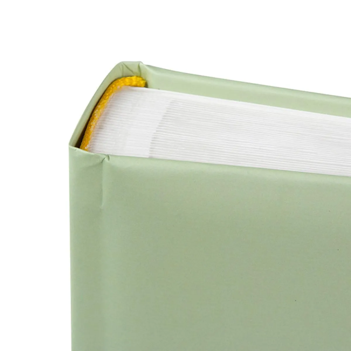 Foto album MOJ LJUBIMAC - MAČKA 