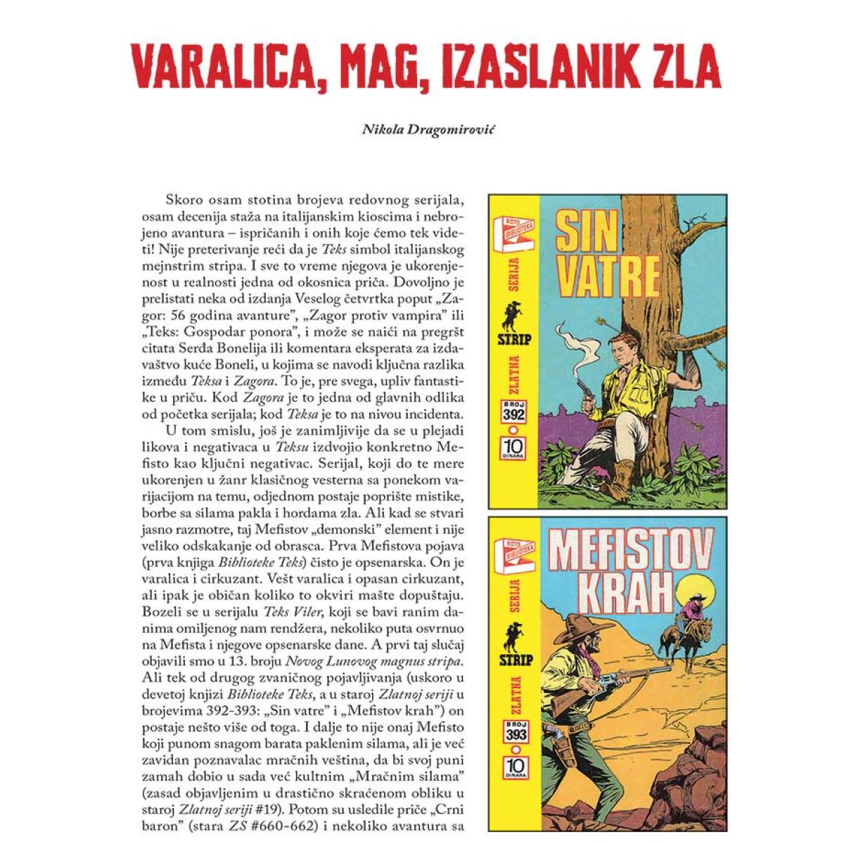 TEKS KNJIGA Duševna bolnica doktora Vejlanda 