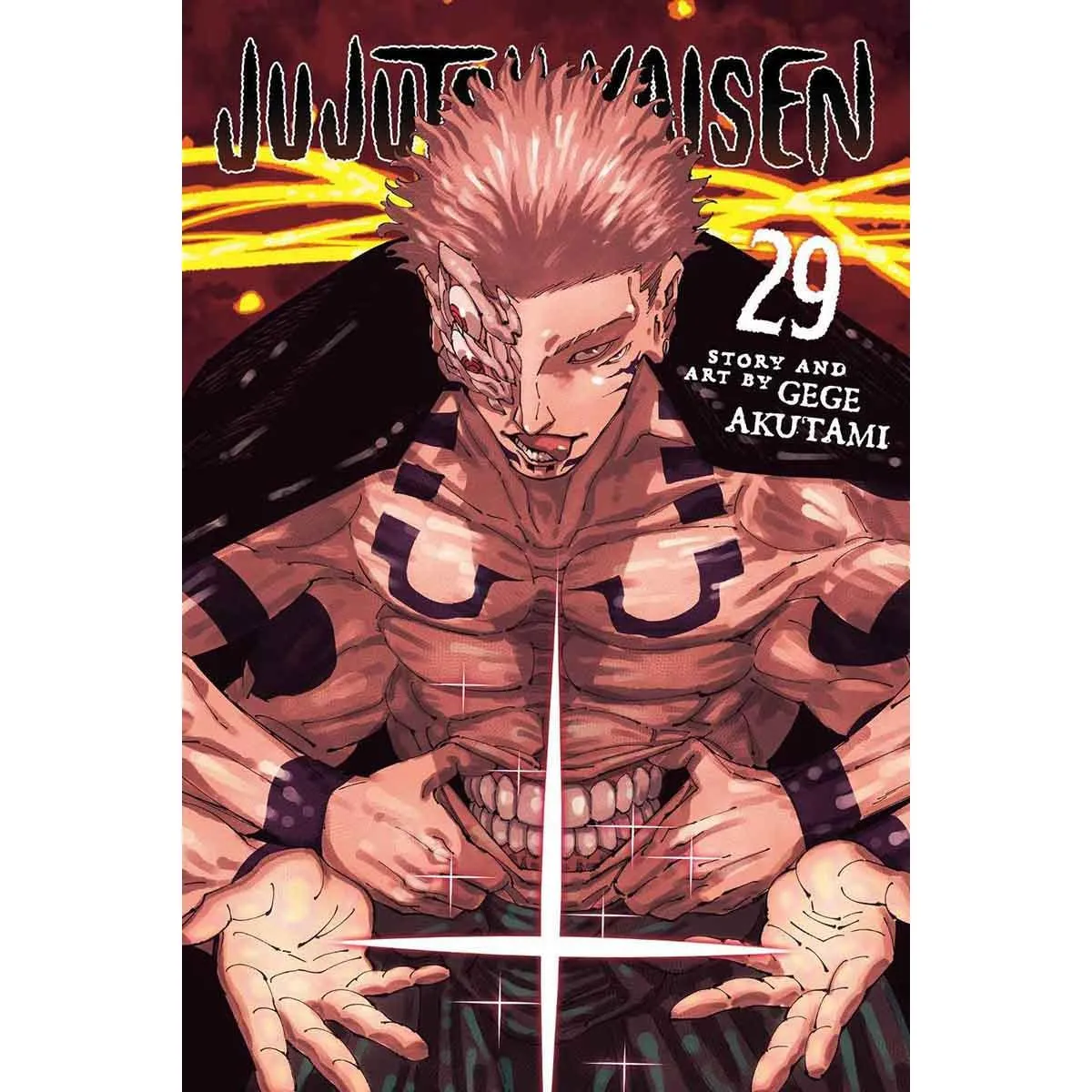 JUJUTSU KAISEN, VOL. 29 