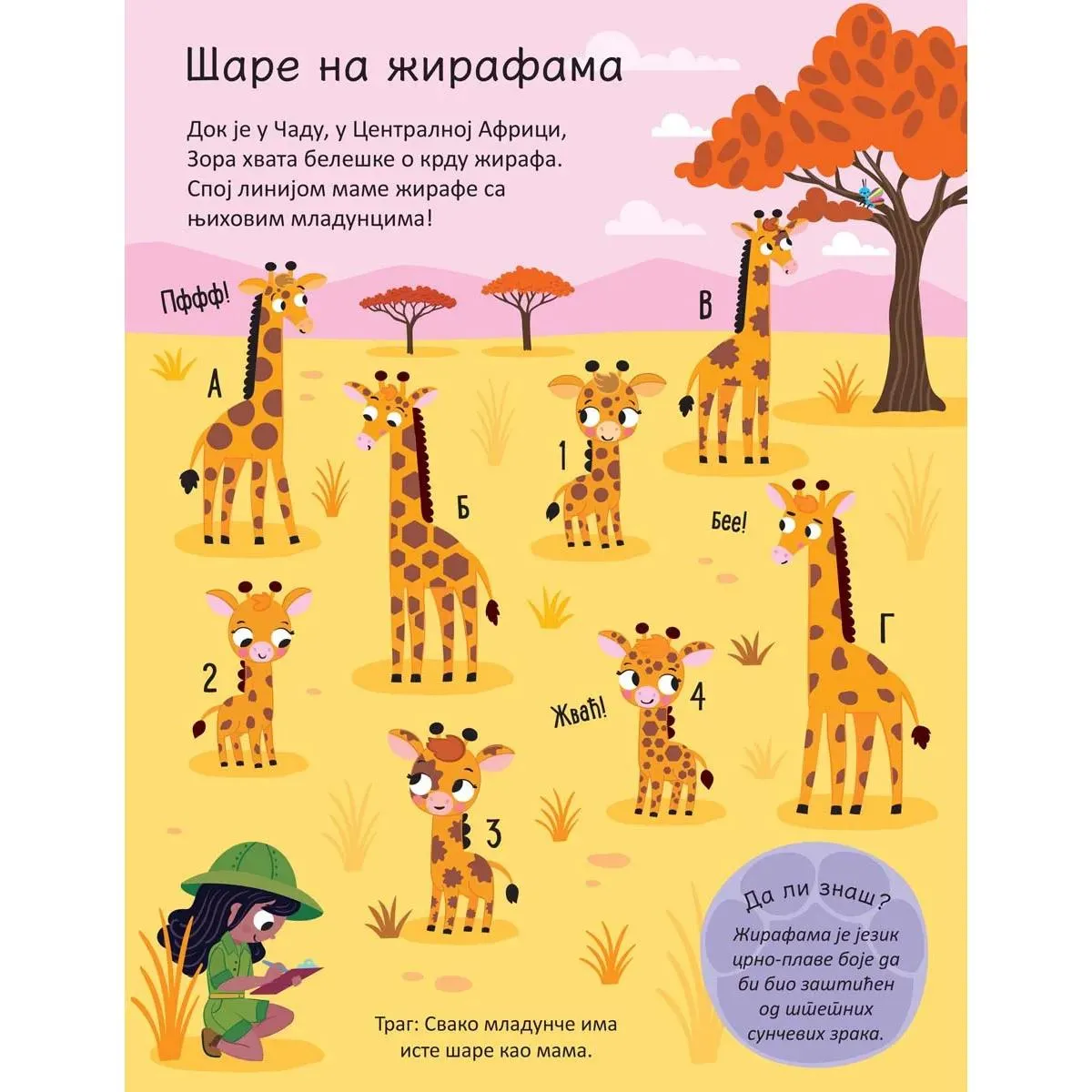 PIŠI - BRIŠI: ŽIVOTINJE - KNJIGA SA AKTIVNOSTIMA 
