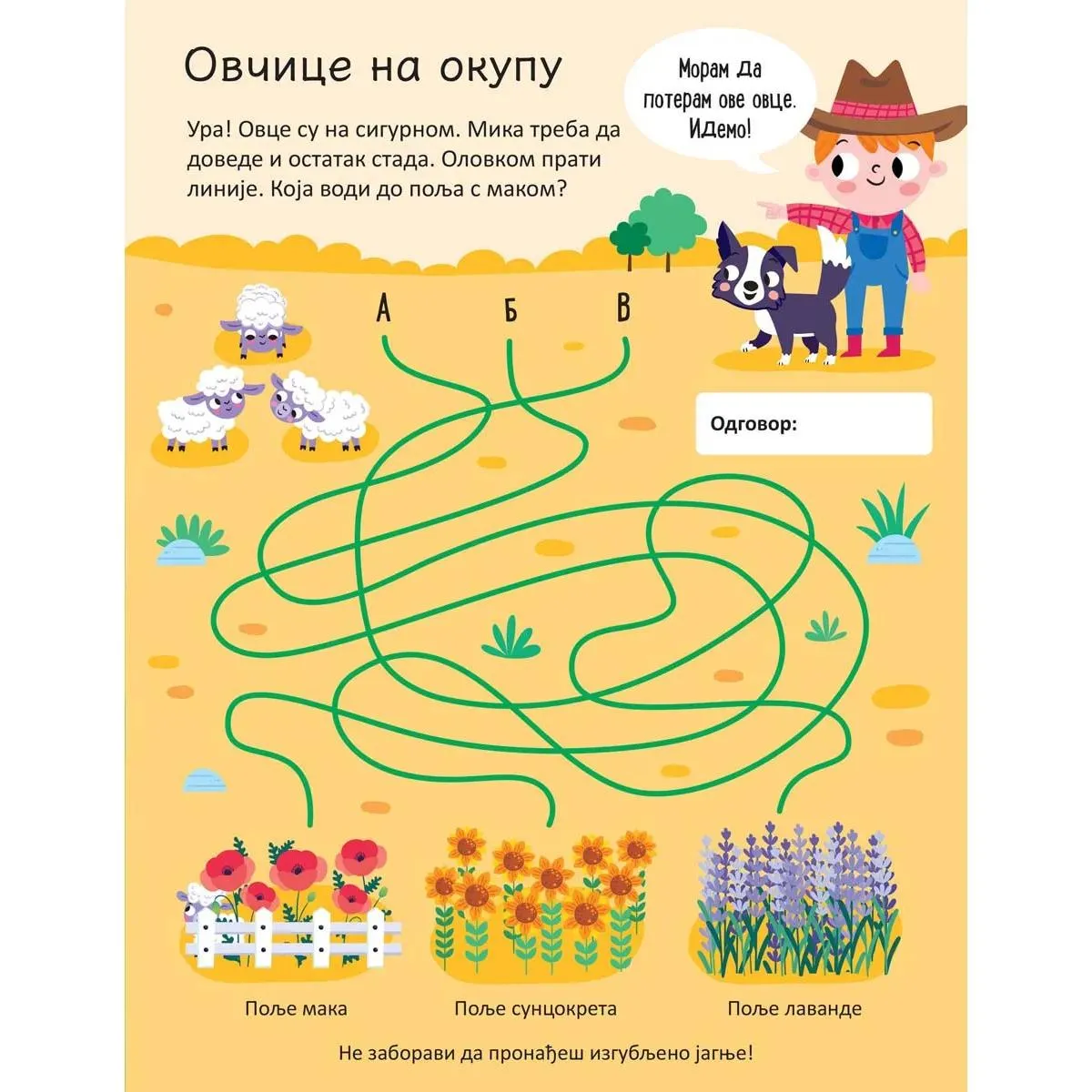 PIŠI - BRIŠI: FARMA - KNJIGA SA AKTIVNOSTIMA 